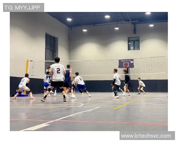 成都排球队比赛经验的创新与变革引发热议